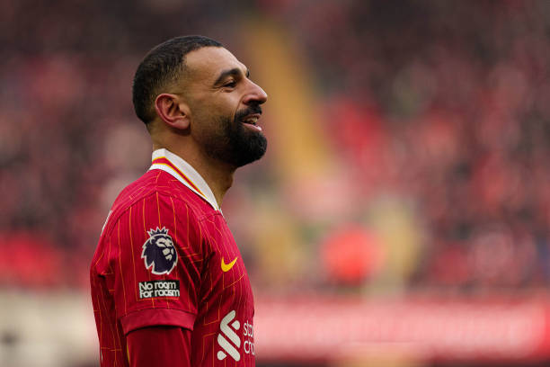 这里的稻花 这里的稻花